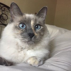 Meet your Posher, Stefani